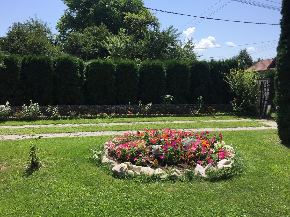 Hanga Apartments Sovata Exterior foto